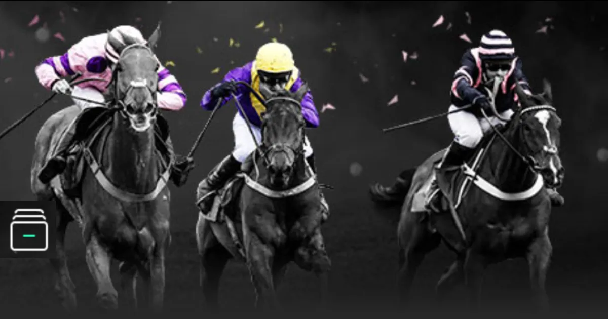 恒力新篇章,铸就中国实,体经济的坚,开云登录入口,开云平台,开云注册网址,开云app,开云官网,开云网站,开云网页版