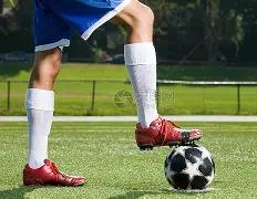 狼队连战连,赛场上,佳绩,开云登录入口,开云平台,开云注册网址,开云app,开云官网,开云网站,开云网页版