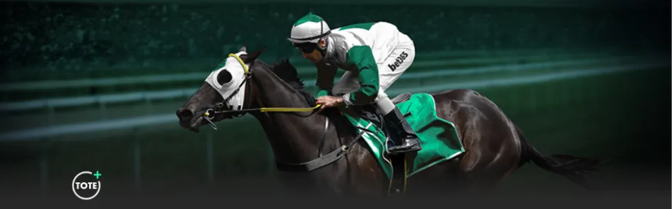 阿森纳客场,逆转宾福特,夺回英超积,开云登录入口,开云平台,开云注册网址,开云app,开云官网,开云网站,开云网页版