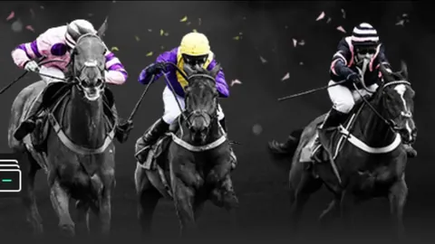 kaiyun·开云（中国）