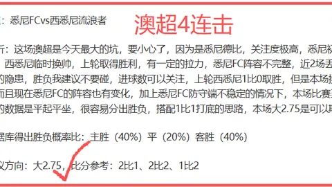 激情对决！德乙巅峰之战：普鲁士明斯特迎战波鸿，谁能问鼎荣耀？